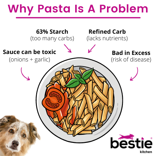 Can Dogs Eat Pasta?