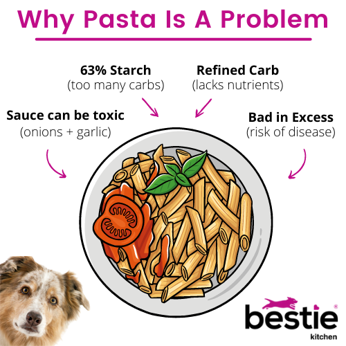 Can Dogs Eat Pasta Bestie Health