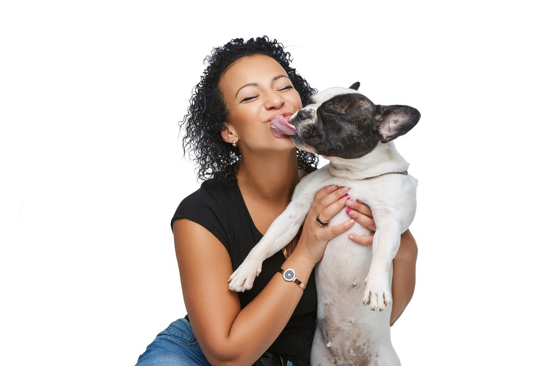 Why does my dog’s breath smell?
