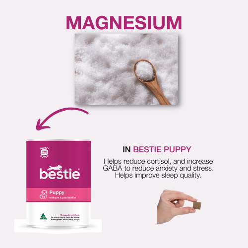 Magnesium