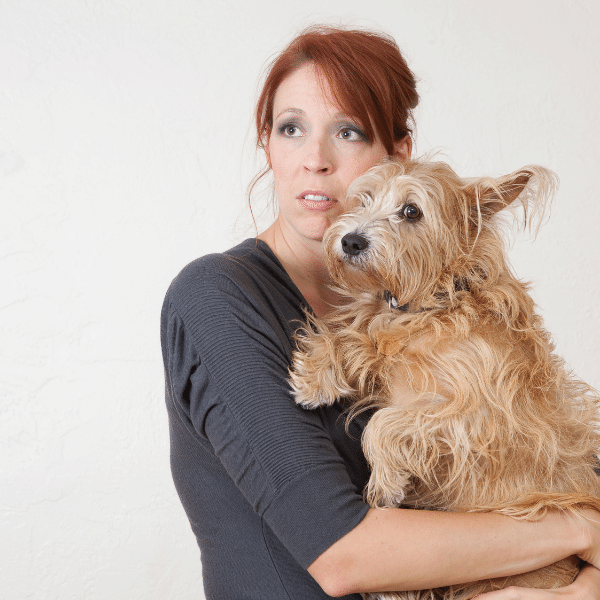 Anxiety: What are the signs of a stressed dog?