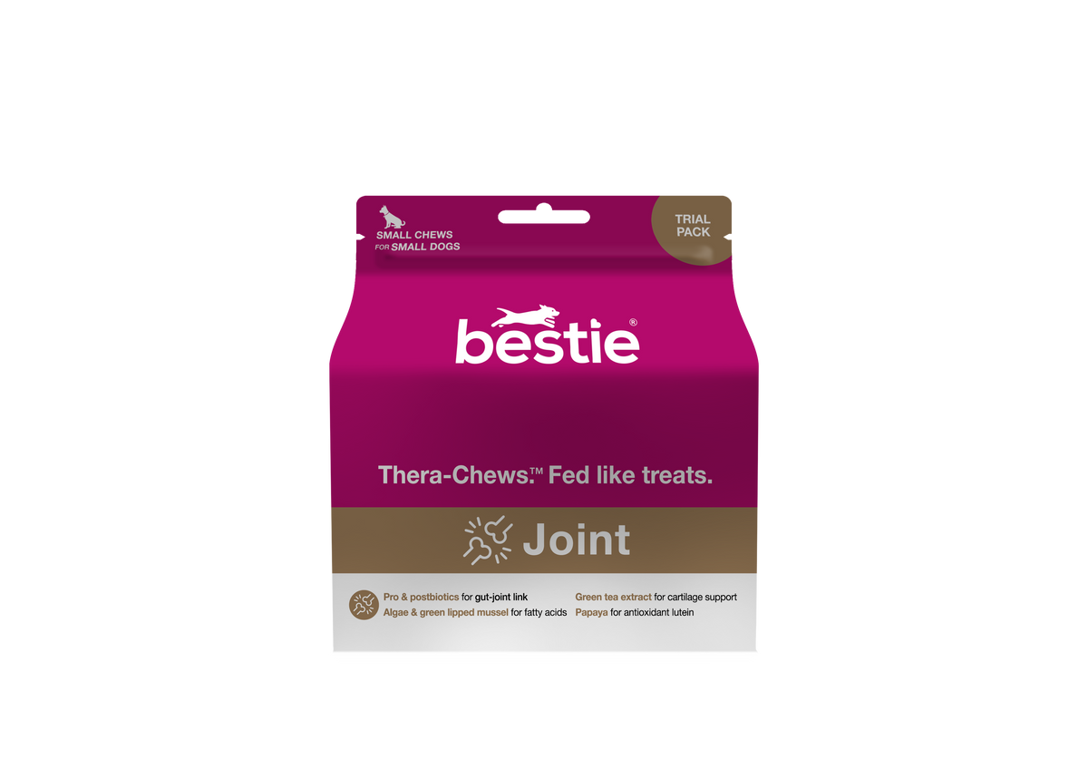 Bestie Joint for Dogs: Thera-Chews™️ for Healthier Joints
