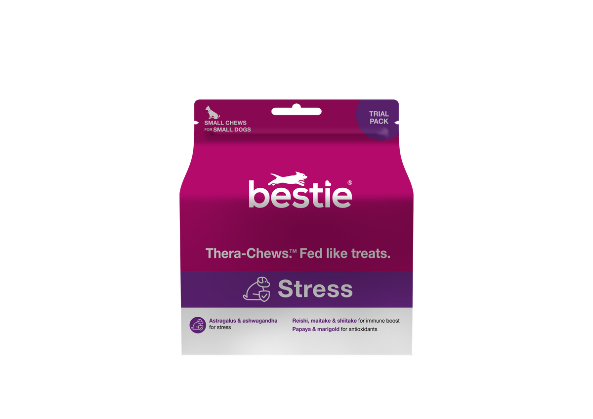 Bestie Stress for Dogs: Thera-Chews™️ for Immune Support