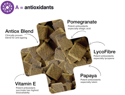 Antiox Thera-Bites for anti-ageing & stress