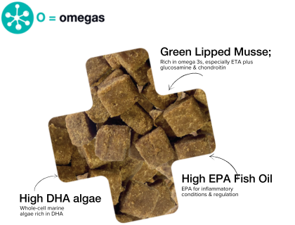 Omegas Thera-Bites for good general health!