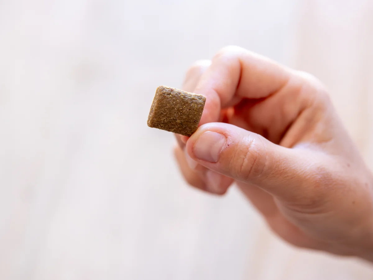 Bestie Anxiety: Thera-Chews™️ for Anxious Dogs
