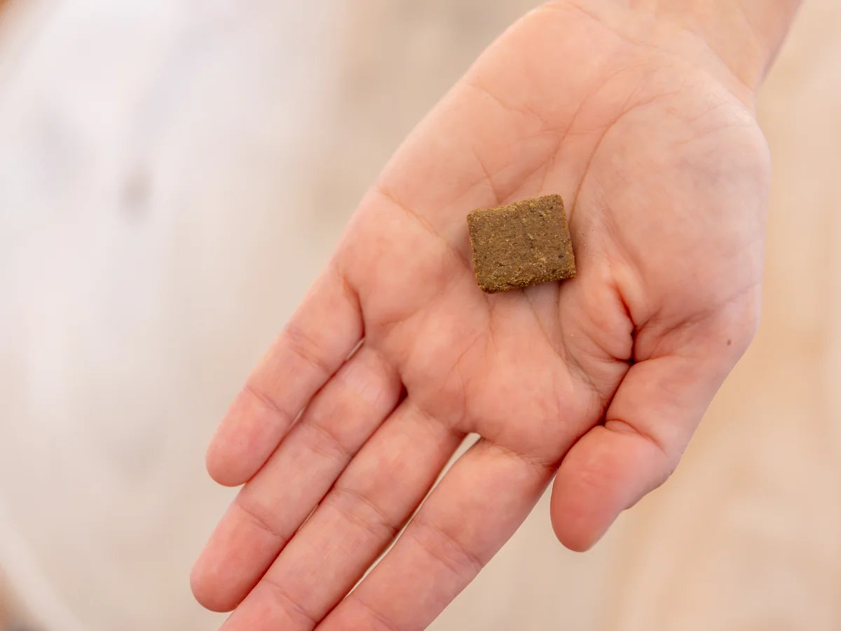 Bestie Anxiety: Thera-Chews™️ for Anxious Dogs