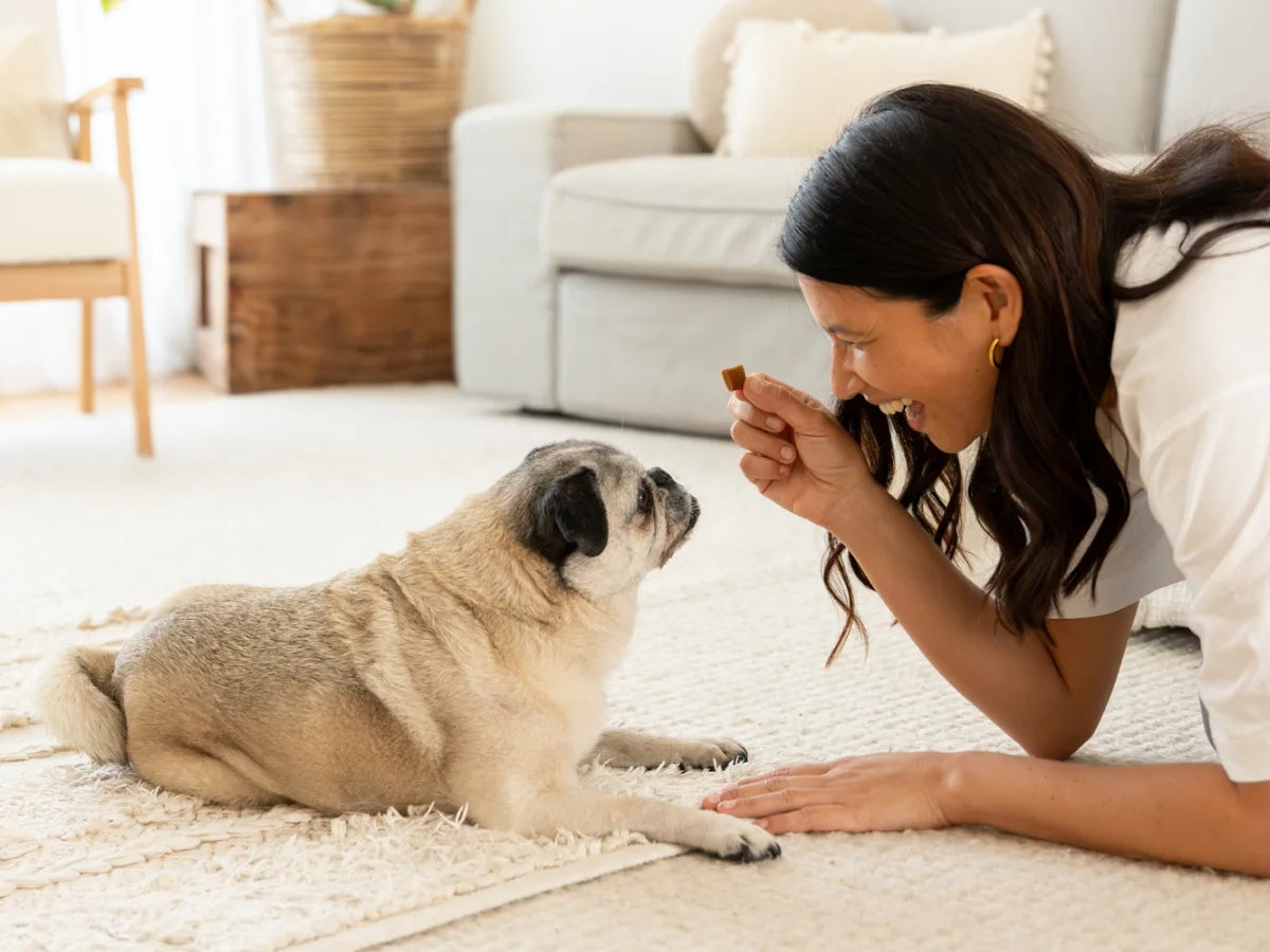 Bestie Anxiety: Thera-Chews™️ for Anxious Dogs