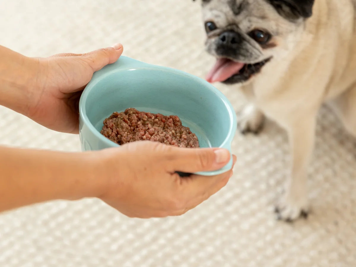 The HYPOALLERGENIC Balancing Topper for Dogs