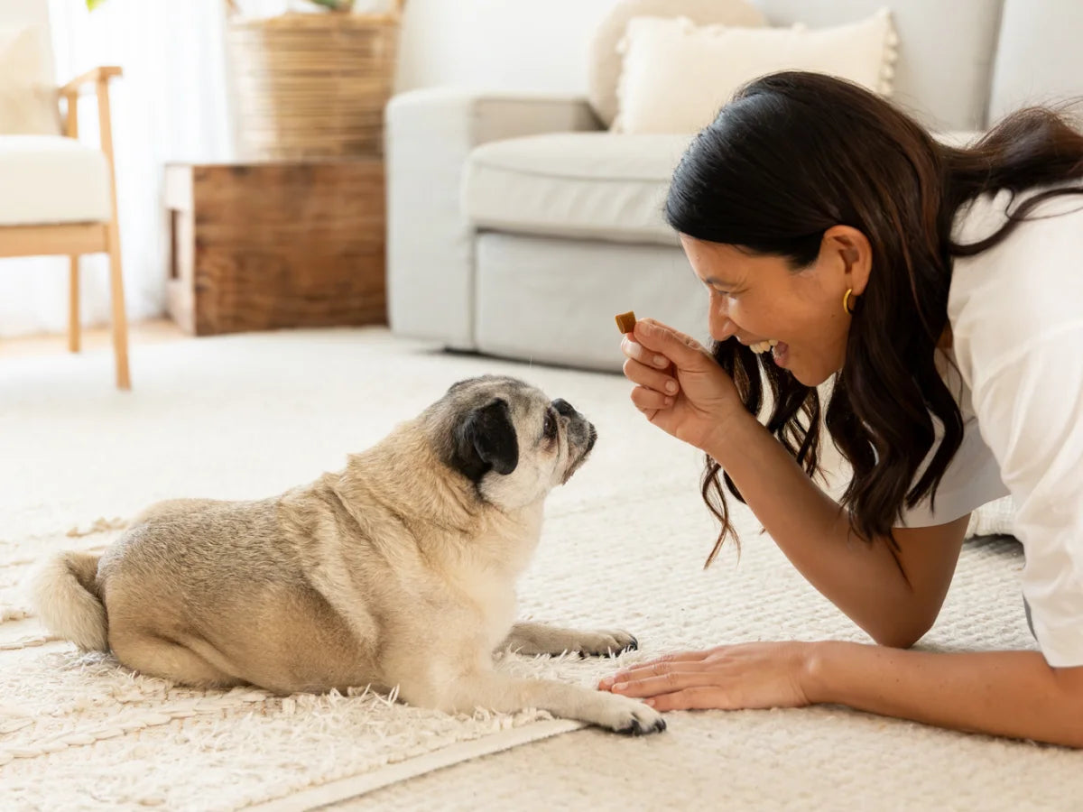 Bestie Skin for Dogs: Thera-Chews™️ for Itchy Skin