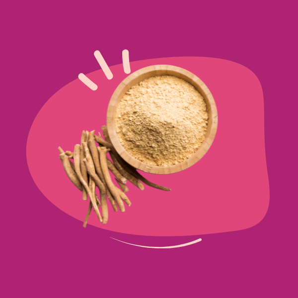 How can adaptogens help my dog?