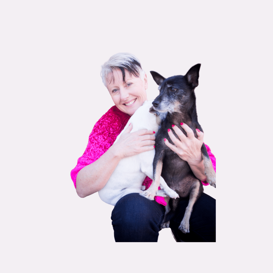 When do we say goodbye to our senior dogs?  The hard part about making the hard decision.