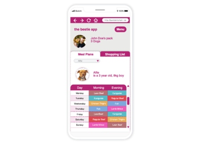 HUMAN-GRADE, HOMEMADE DOG FOOD (AKA A RAW DIET FOR DOGS MADE EASY)