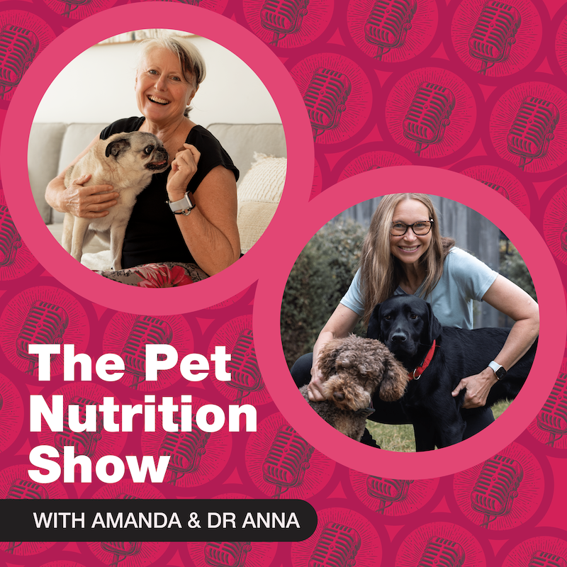 EP 22: Puppy and Kitten Nutrition: Essential Tips and Guidelines