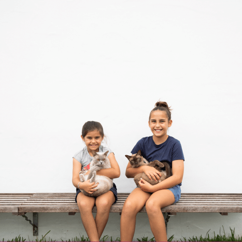 Hang on, I thought cats were obligate carnivores?