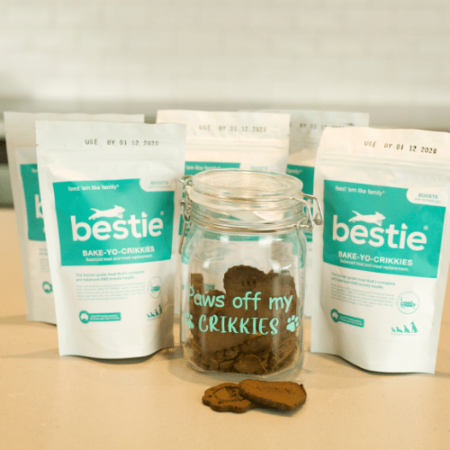 HEY! THERE ARE CRICKETS IN MY CAT FOOD! (AND MY DOG’S CRIKKIES…)