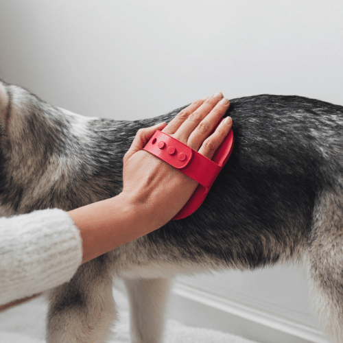 THE HAIR OF THE DOG. AND THREE’S A CROWD.