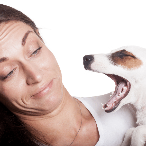 Can nutraceutical supplements really have an impact on dog's oral health and stinky breath?