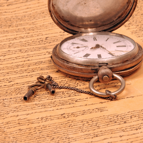 How did we get here? A short history of modern dog food...