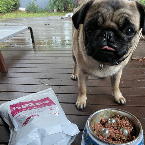 Eat like the animals - they know what to eat!