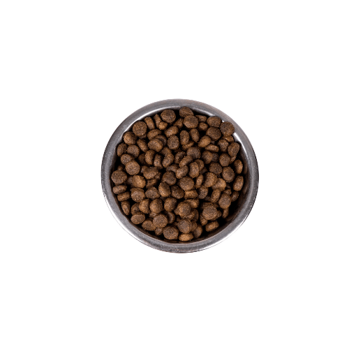 DRY FOOD FOR CATS: NOT ALL IT’S CRACKED UP TO BE?