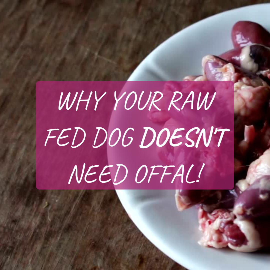 Why your raw fed dog doesn't need offal