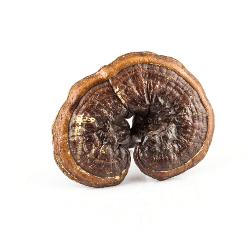 Reishi, shiitake and maitake