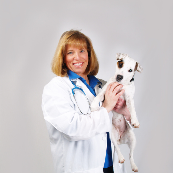 Probiotics - Does your dog need them?