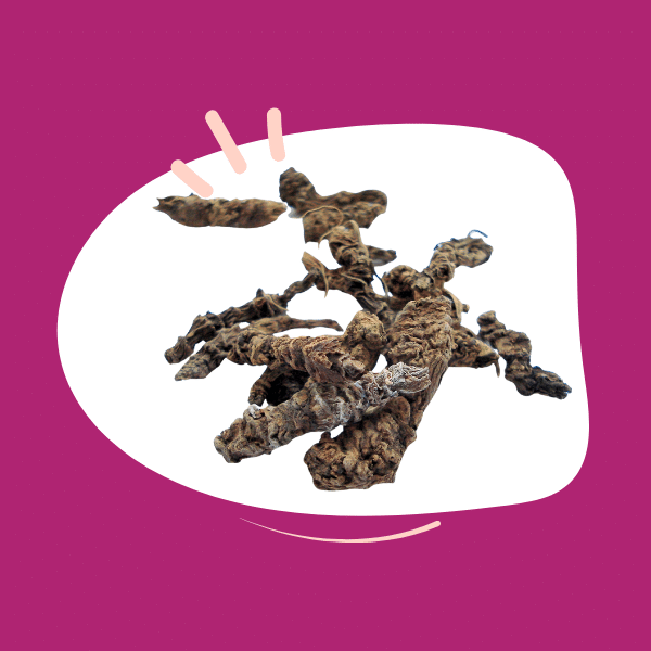 Would valerian in the diet help my anxious dog?