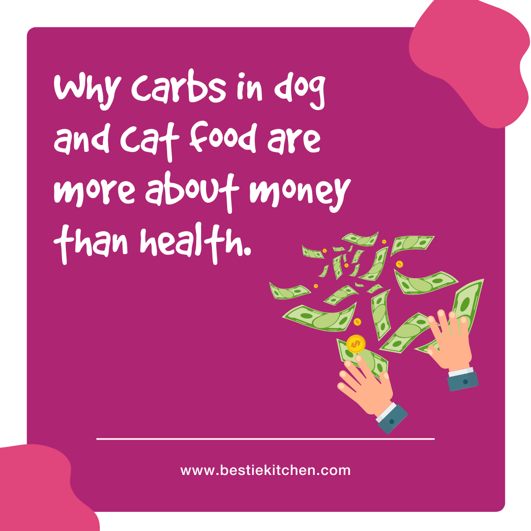 Why carbs in dog and cat food are more about money than good health.