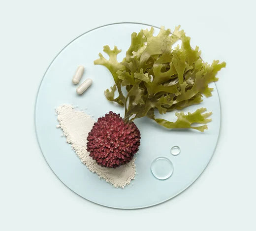 Algaecal plant-based calcium