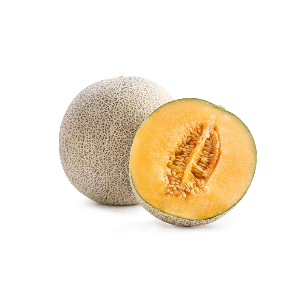 Can Dogs Eat Rock Melon?