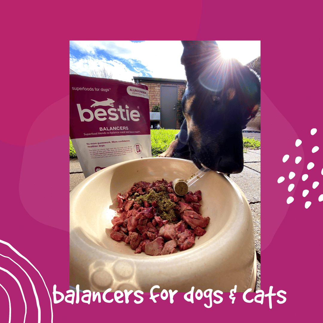 BALANCERS FOR DOGS & CATS