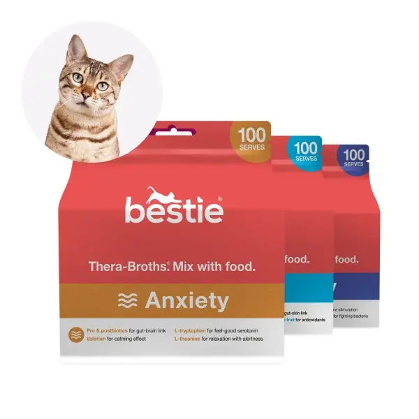 THERAPEUTIC BROTHS FOR CATS