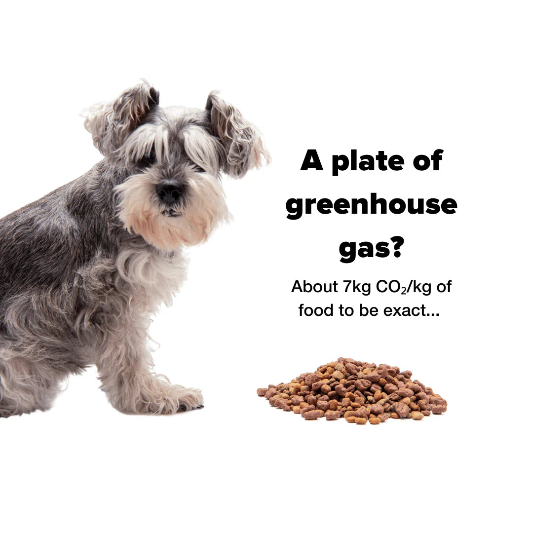A plate of greenhouse gas? About 7kg CO2/kg of food to be exact