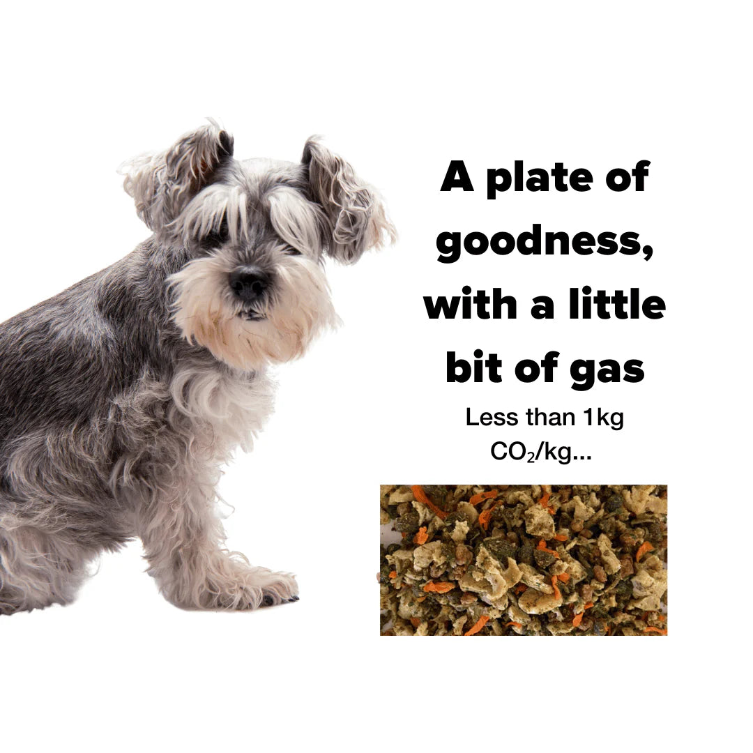 A plate of goodness, with a little bit of gas? Less than 1kg CO2.