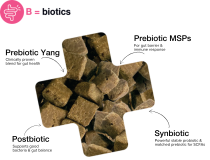 Biotics Thera-Bites for good gut health
