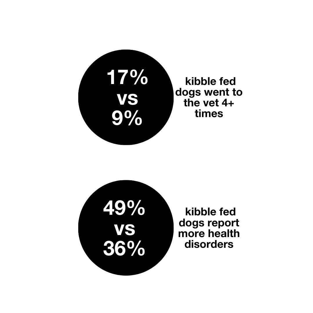 Kibble fed gods vs Vegan dogs
