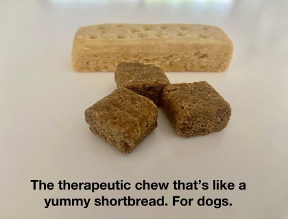 Biotics Thera-Bites for good gut health