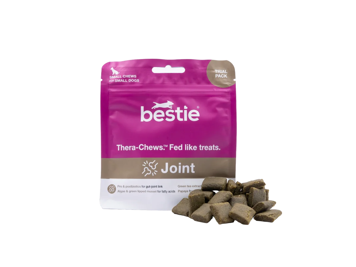 Bestie Joint for Dogs: Thera-Chews™️ for Healthier Joints