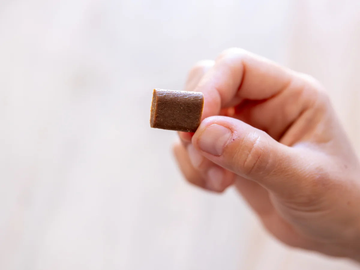 Rows of dark brown rectangular tablets on a white background.