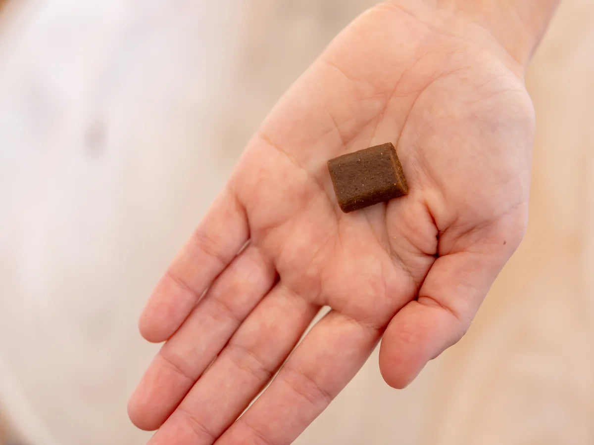 Rows of dark brown rectangular tablets on a white background.