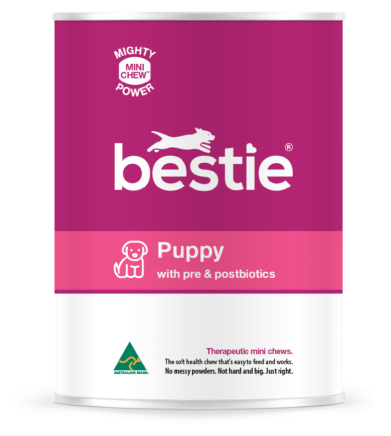 Bestie Puppy: Thera-Chews™️ for Puppy Support